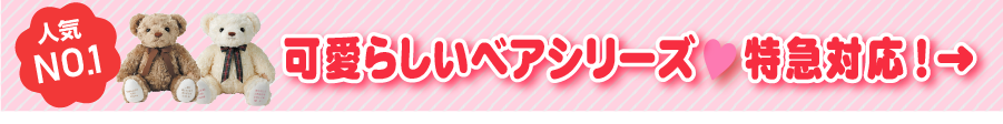 可愛らしいベアシリーズ特急対応
